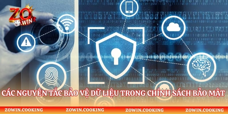 Các nguyên tắc bảo vệ dữ liệu trong chính sách bảo mật Zowin