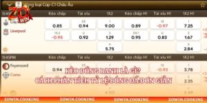 Kèo Đồng Banh Là Gì? Cách Phân Tích Tỷ Lệ Bóng Đá Đơn Giản