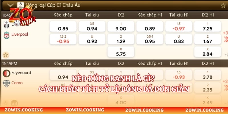 Kèo Đồng Banh Là Gì? Cách Phân Tích Tỷ Lệ Bóng Đá Đơn Giản